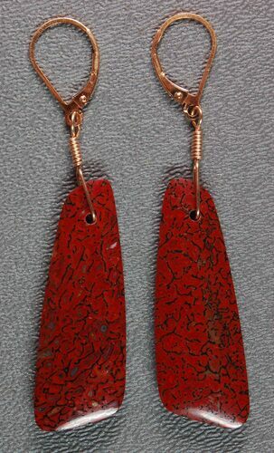 Bright Red Agatized Dinosaur Bone Earrings #5250